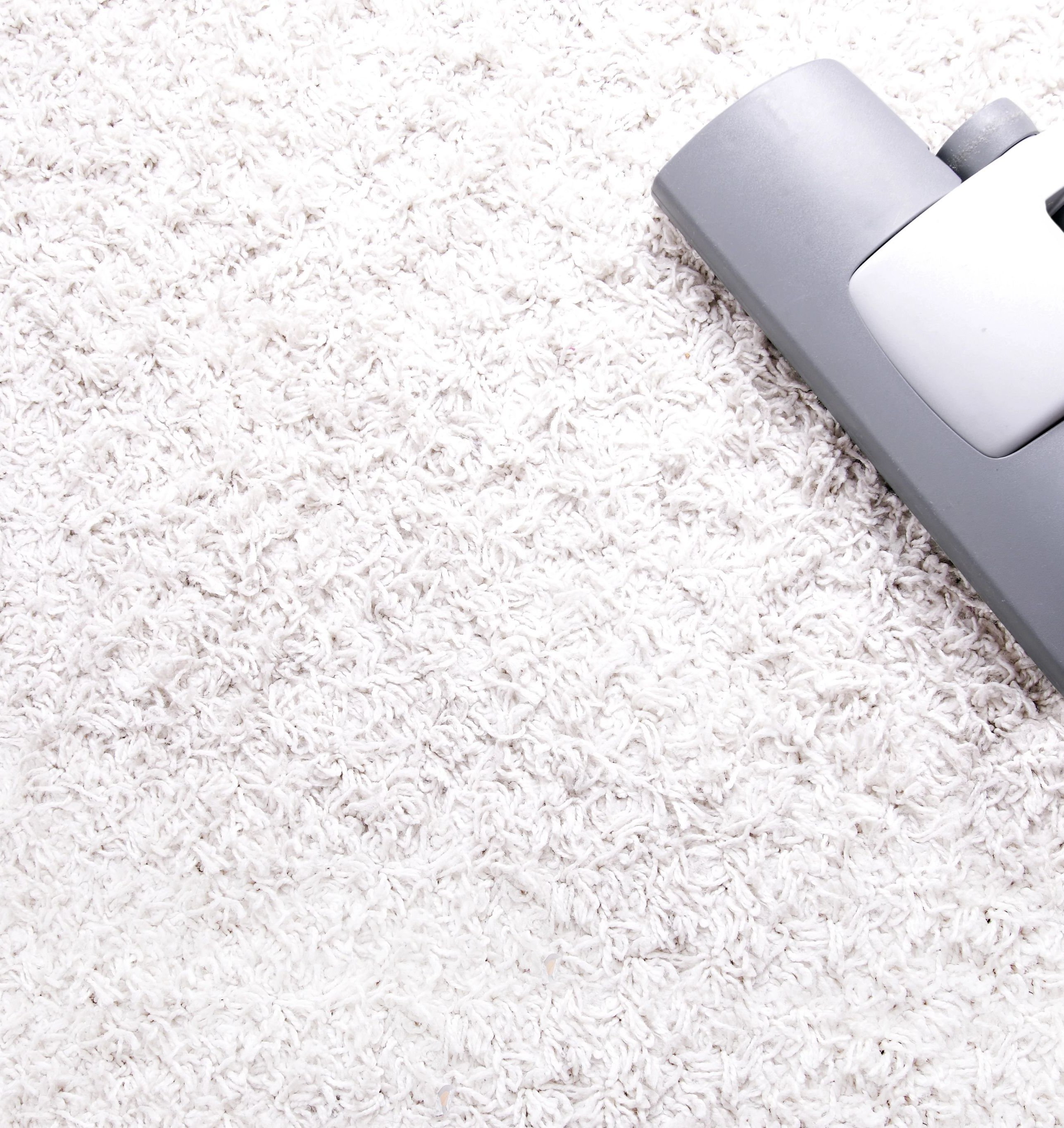 carpet cleaner on carpet from Wilmington Carpets in the Wilmington, OH area